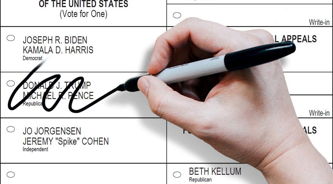 Sample ballot, 2020