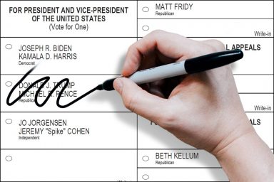 Sample ballot, 2020