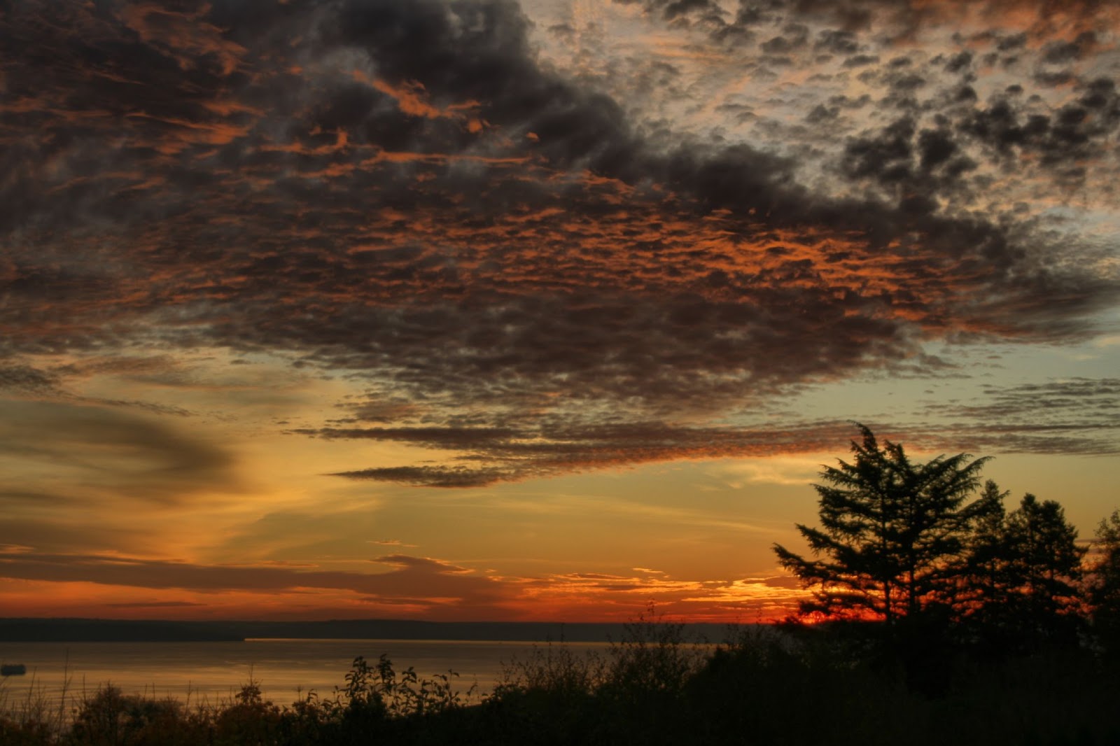 Seattle, Sunset