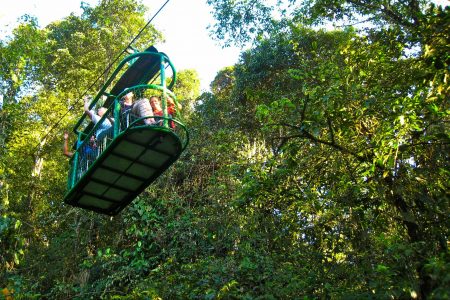 deforestation, coffee pulp, growth boost, Costa Rican rainforests