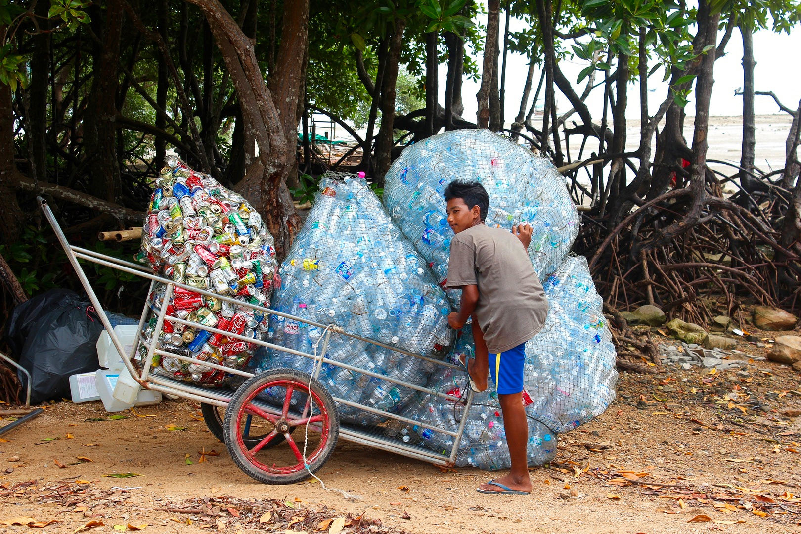 Coca-Cola, plastic waste, paper bottle trial, recycling