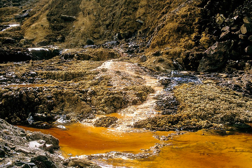 pollution, environment, cleaning, synthetic biology