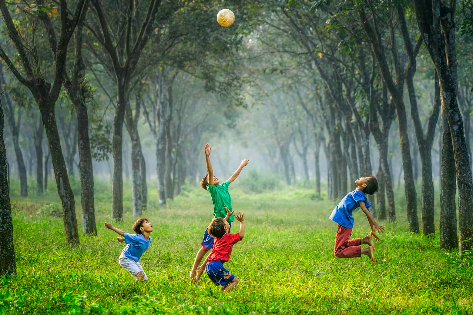 climate change, UN report, crises, societal change