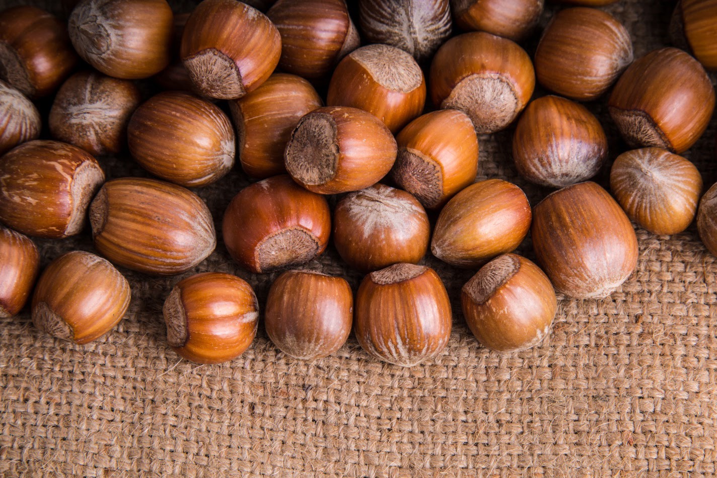 Hazelnuts