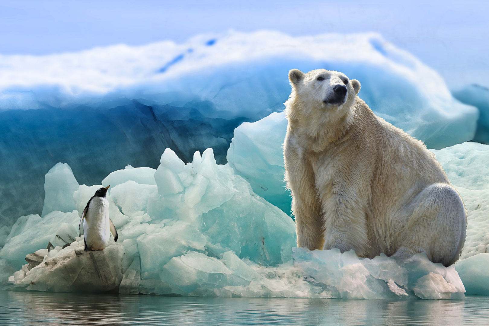 climate crisis, cities, protection, budget constraints