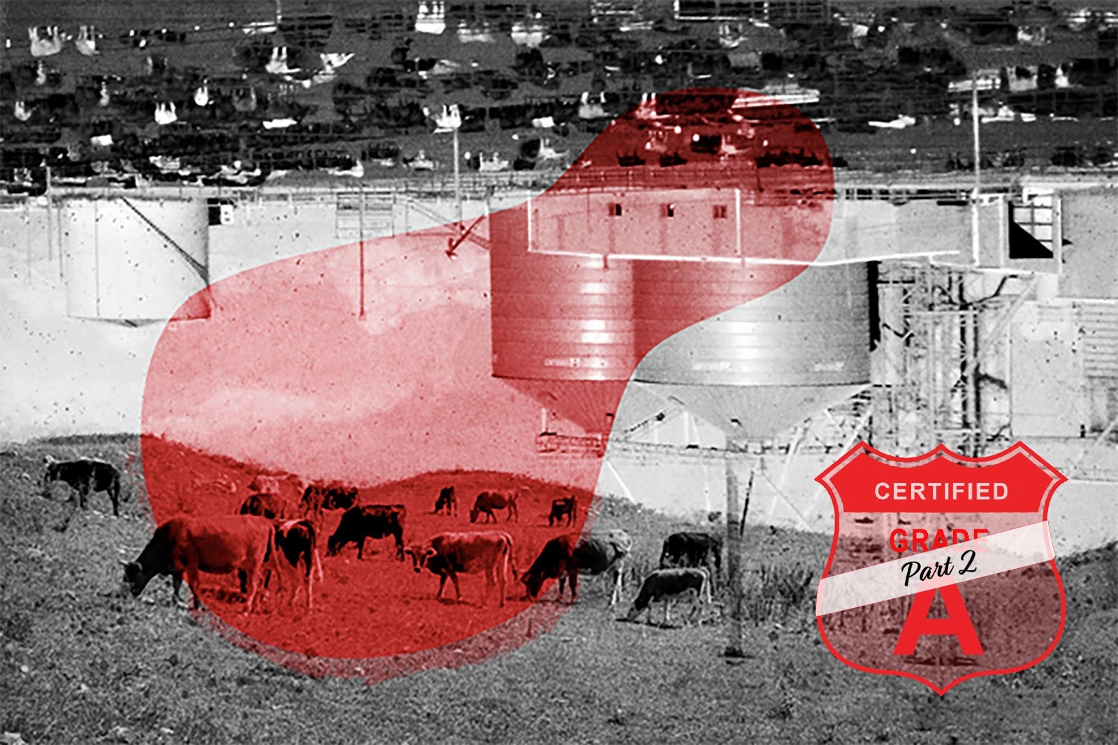 Climate, Change, Farming, Big Agriculture, Farmers, Integrated meat processing, Greenhouse gas, Industrial farms, USDA, National Farmers Union, Sierra Club, sustainability, North American Meat Institute, American Farm Bureau Federation, Environmental Working Group