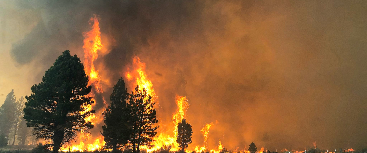 West Coast wildfires, East Coast cities, smoke, pollution, climate change