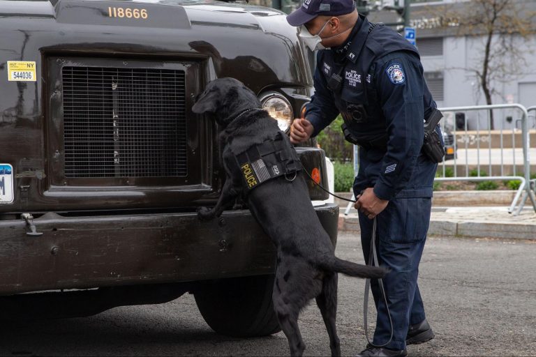 New York City Police, dog handler, body camera