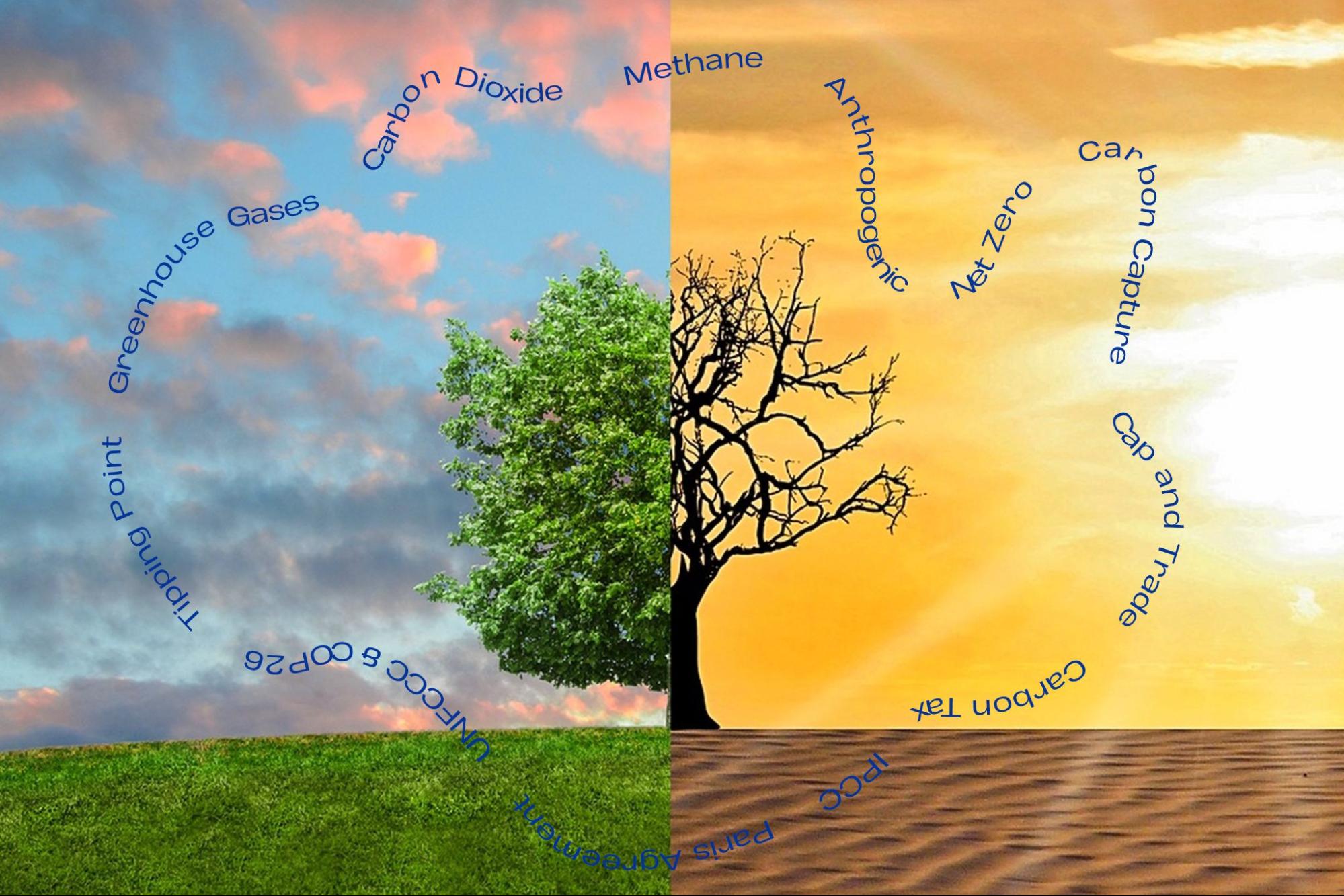 What s The Word Climate Lingo Demystified WhoWhatWhy