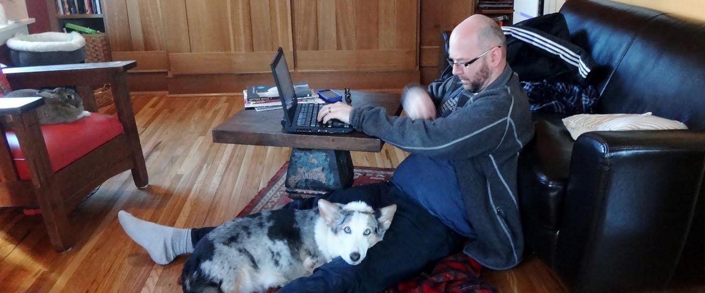 man, working, home, laptop, dog
