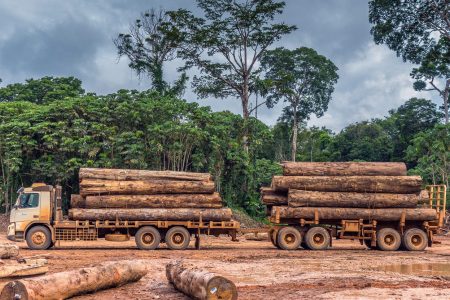 Logging truck, Amazon Rainforest