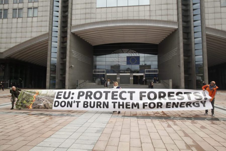 forest advocates, protest, Netherlands, EU 