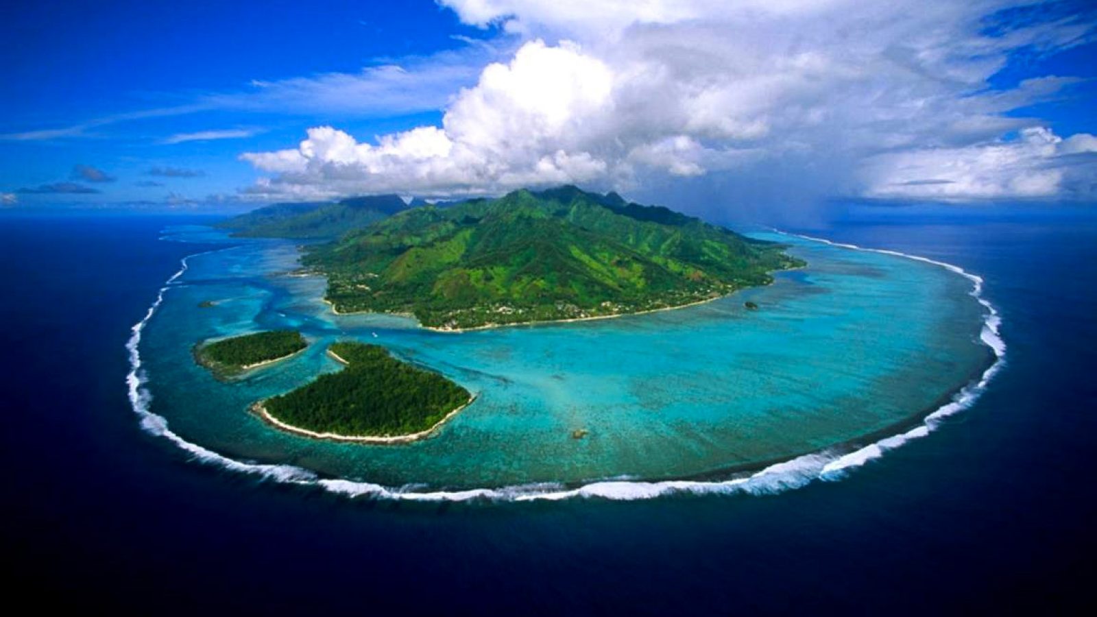 Rare, Pristine Coral Reef Found Off Tahiti Coast WhoWhatWhy