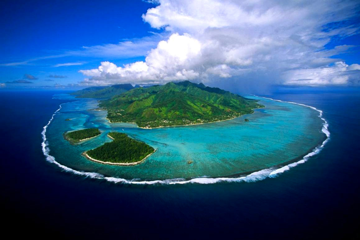 South Pacific, coral reef discovery, pristine, rare