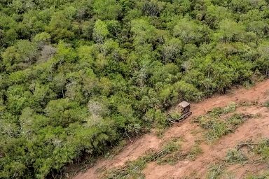 Deforestation, Chaco Forest, Paraguay