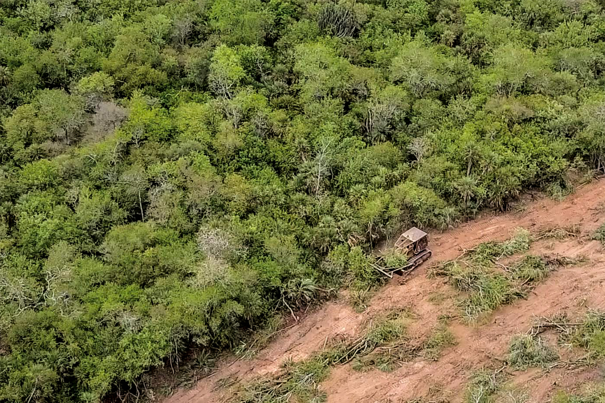 How Beef and Leather Supply Chains Pose Threat to South America’s Last Forest