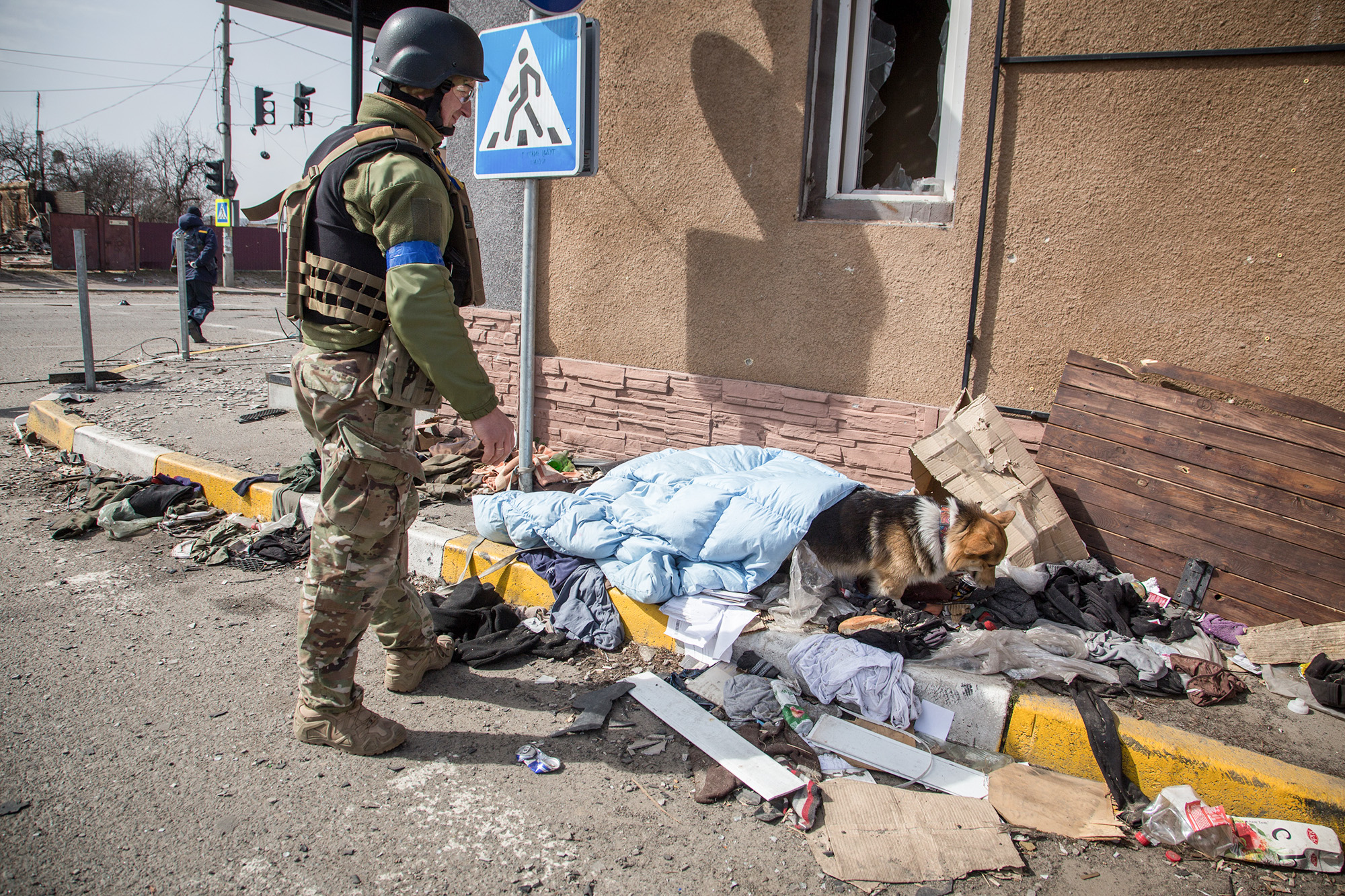 Ukraine, Soldier, dog, sign, debris