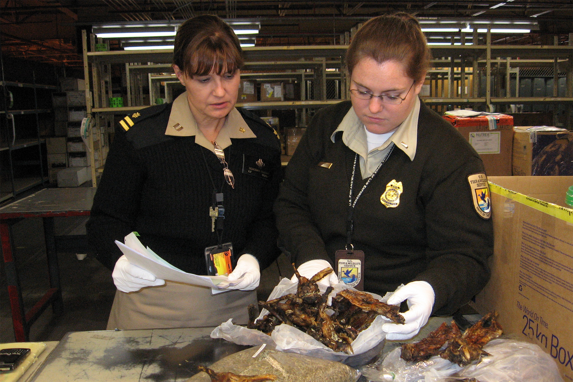 CDC staff, inspect, bushmeat