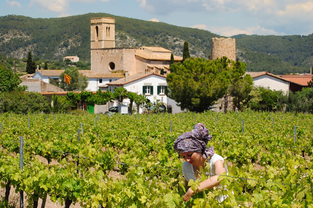 traditional Spanish vineyard, worker