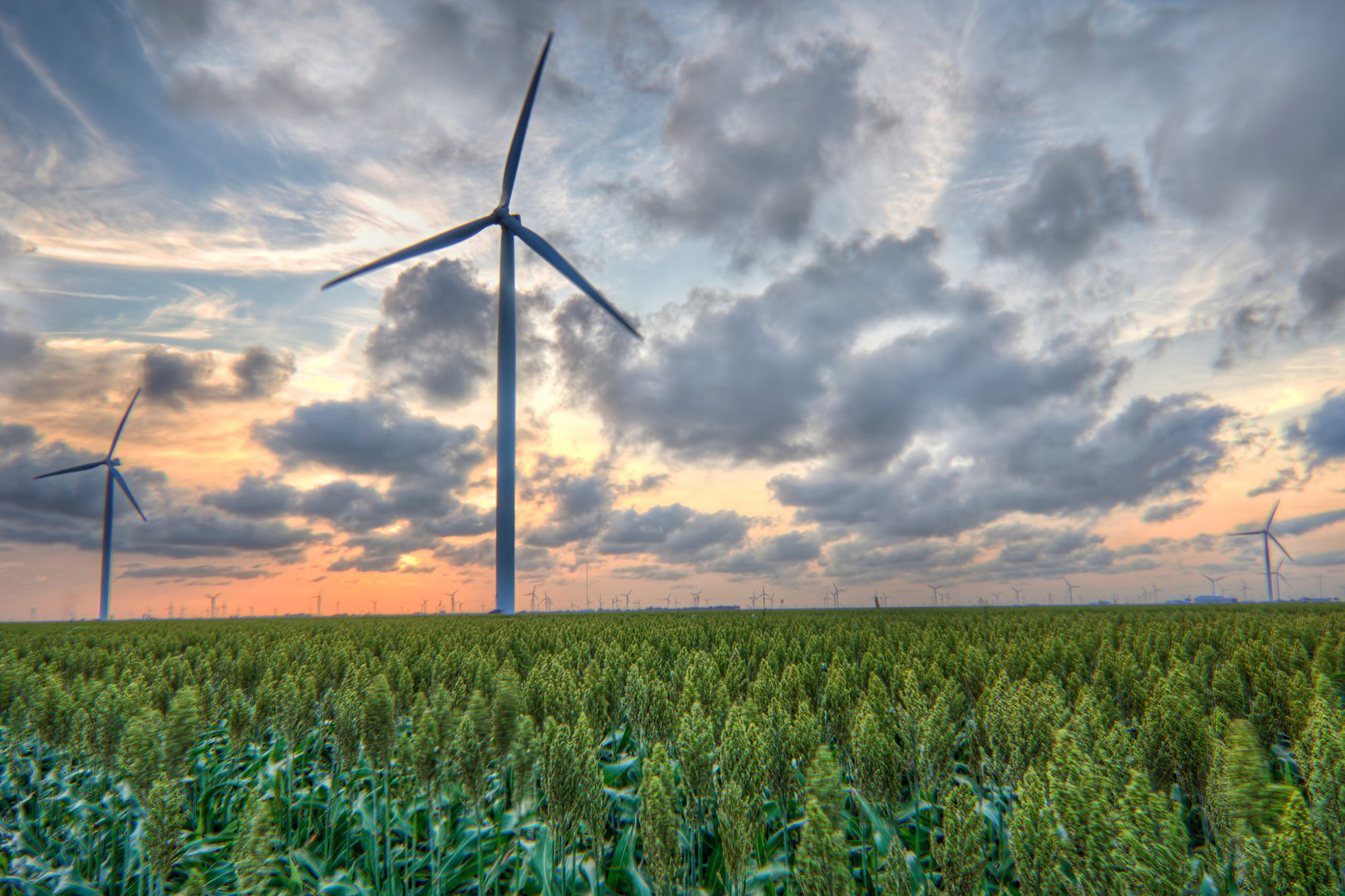 Wind Power Is (Finally) Having a Moment