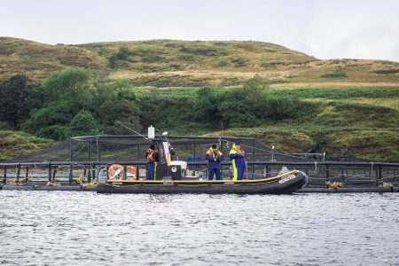 Salmon farm, Scotland