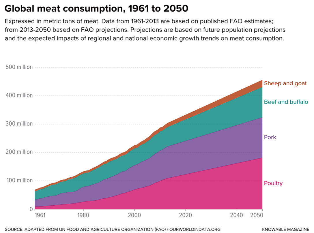 global meat consumption, 1961 to 2050