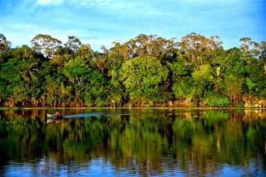 climate crisis, Brazil, Amazon rainforest, deforestation