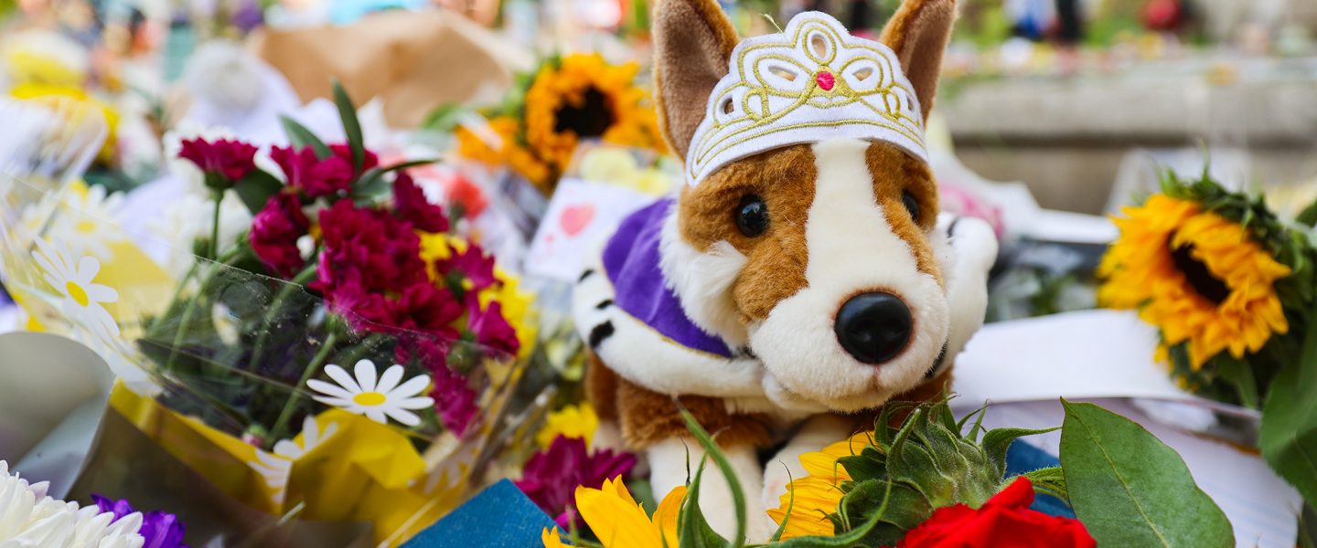 stuffed dog, Queen Elizabeth II