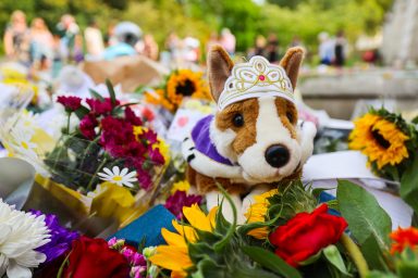 stuffed dog, Queen Elizabeth II