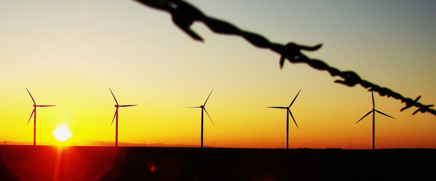 wind farm, West Texas