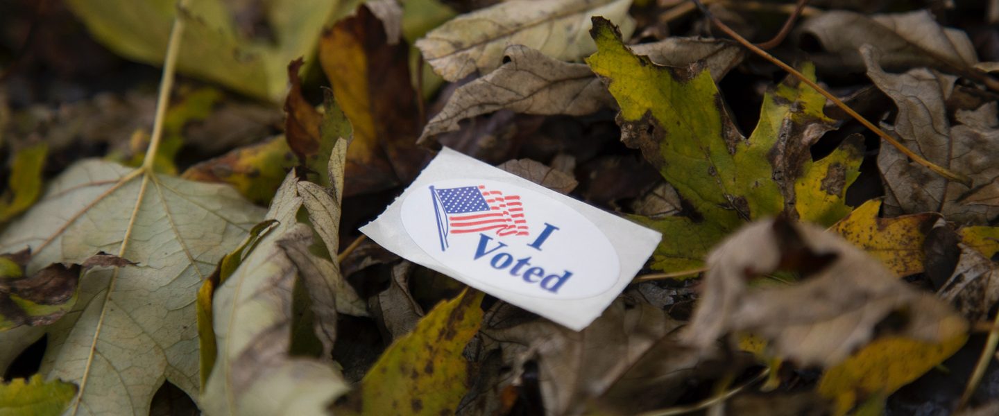 I voted, sticker, ground