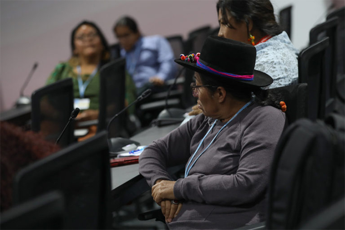  Indigenous delegate, COP27