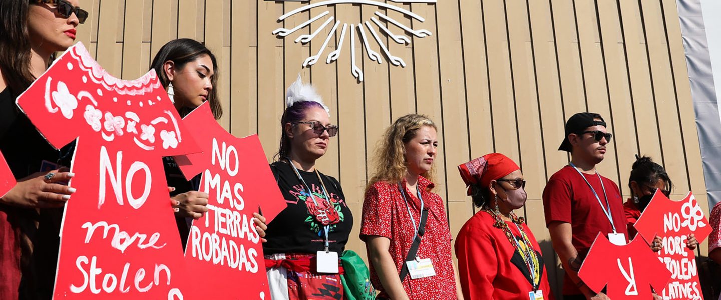 Indigenous delegates, COP27