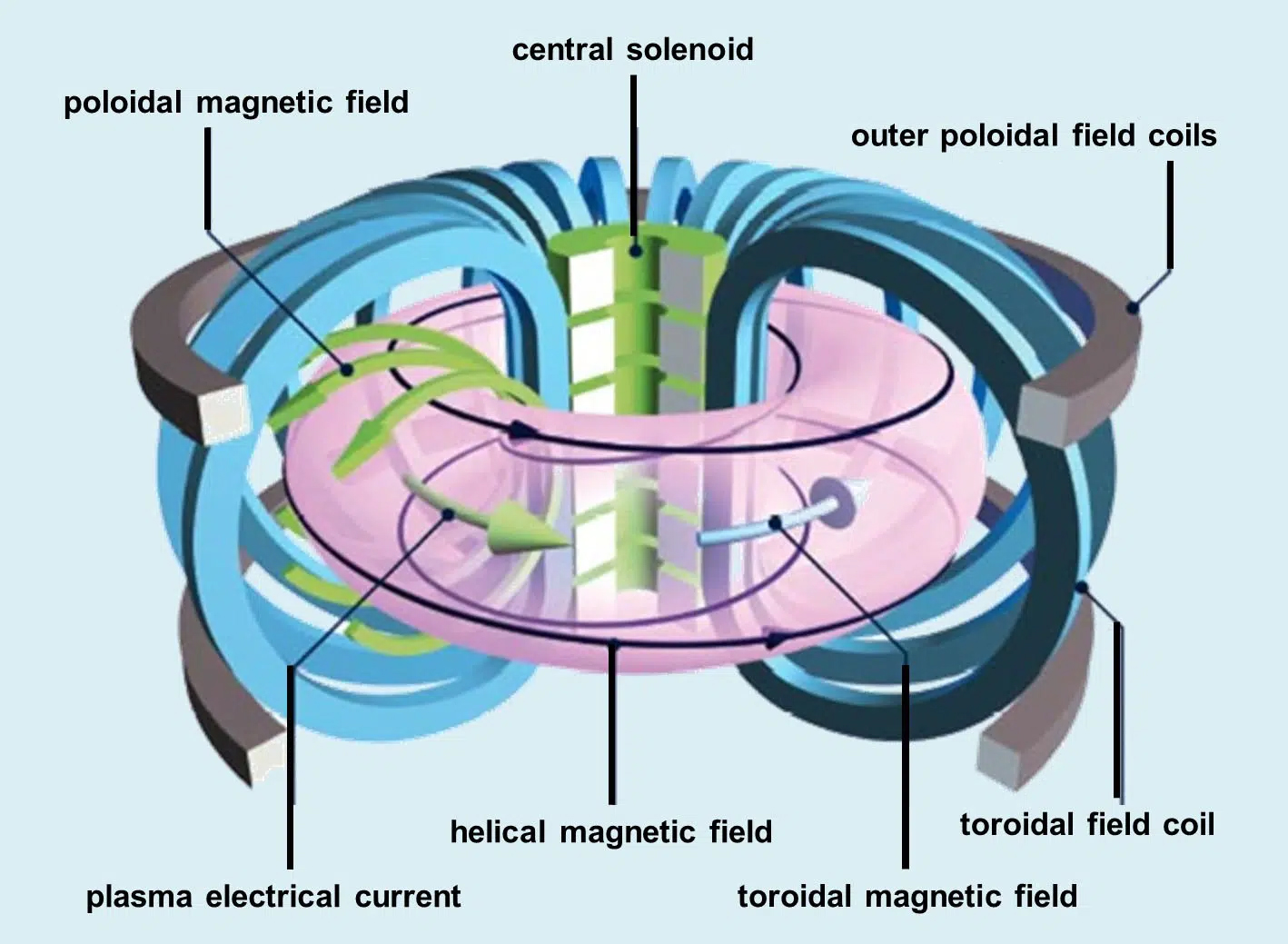 toroidal field coils