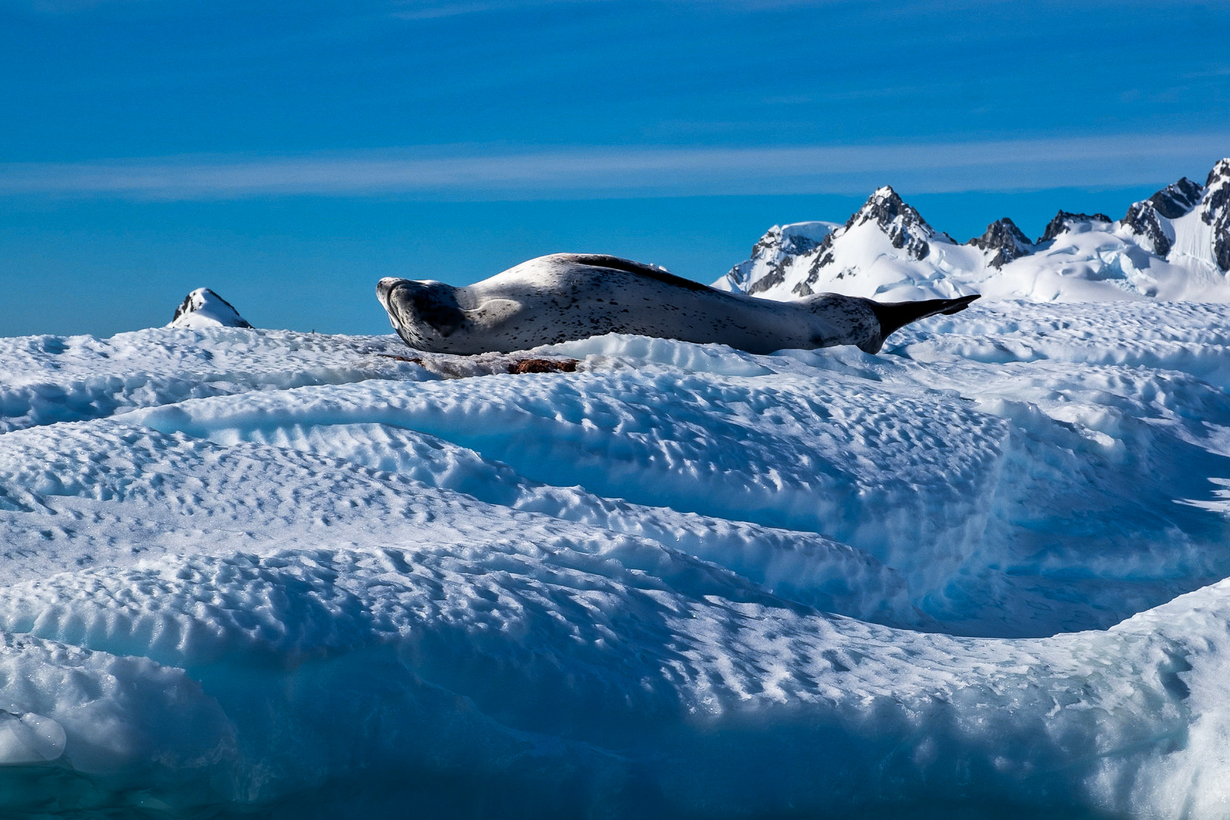 Why East Antarctica Is a ‘Sleeping Giant’ of Sea Level Rise