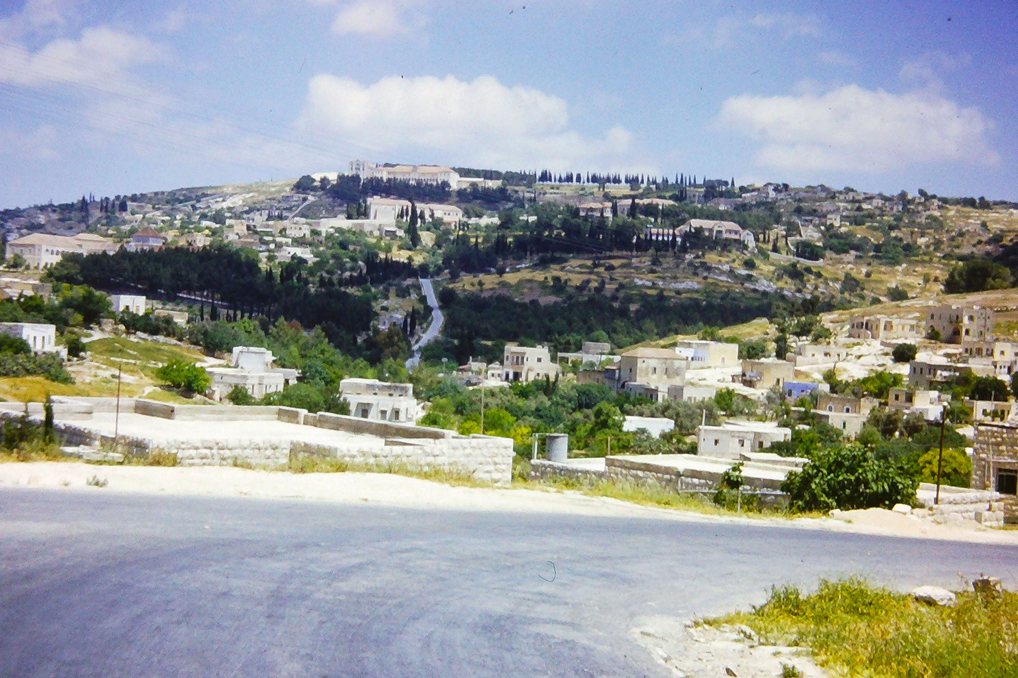  Israel Hillside, 1951