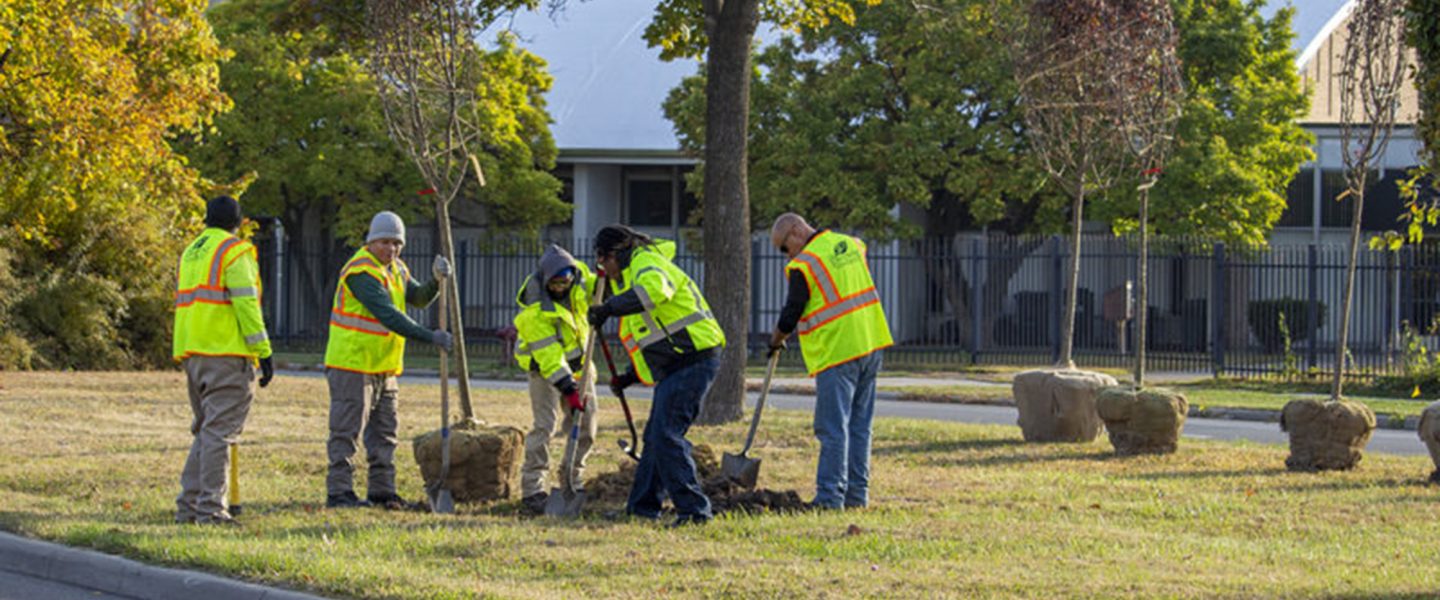 Planting trees, crew, city