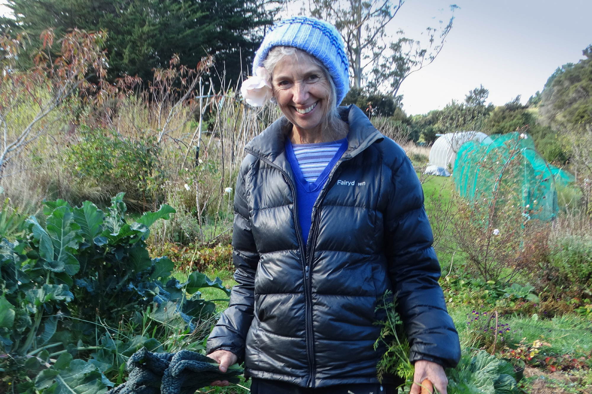 Rosemary Penwarden, Dunedin