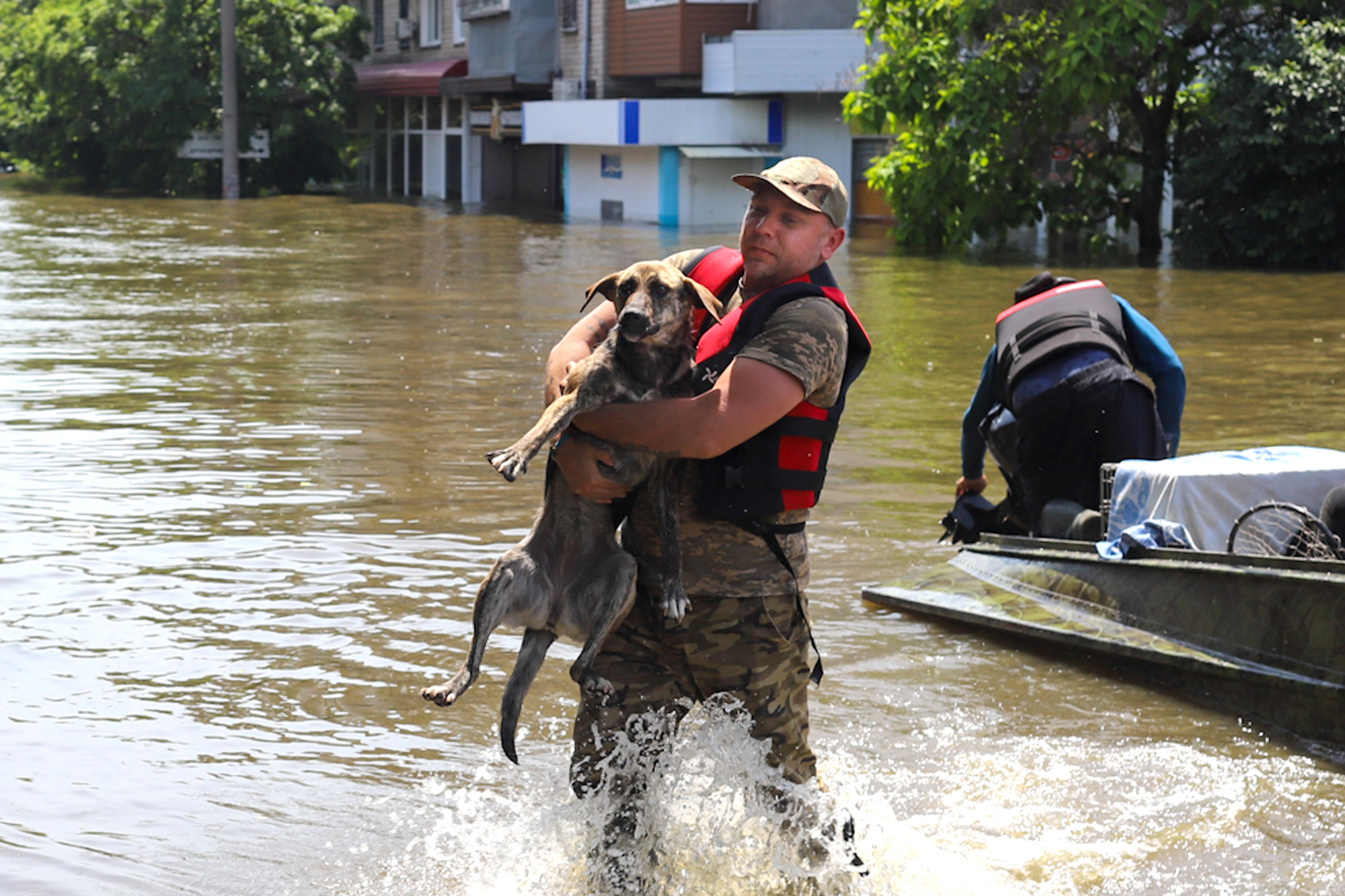 man carrying dog, Kerson, Ukraine, flood