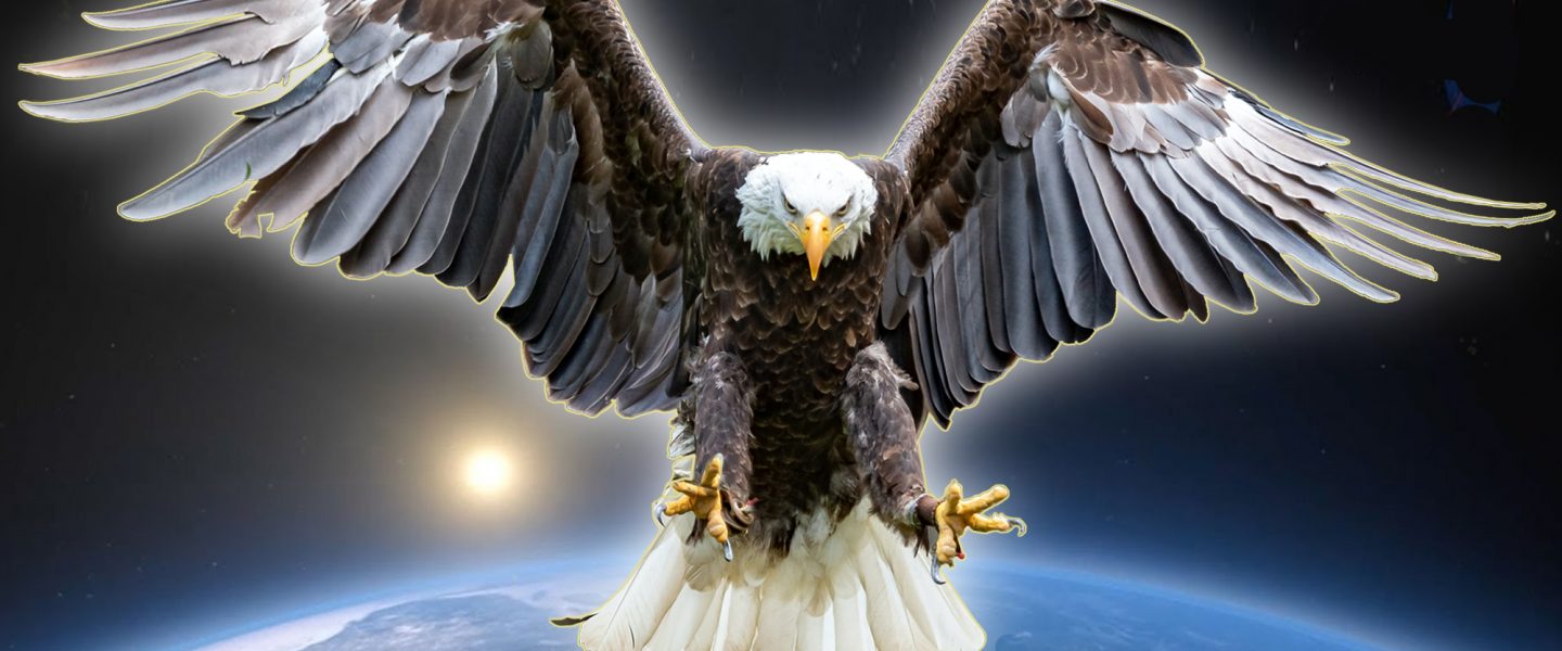 hegemony, eagle, earth