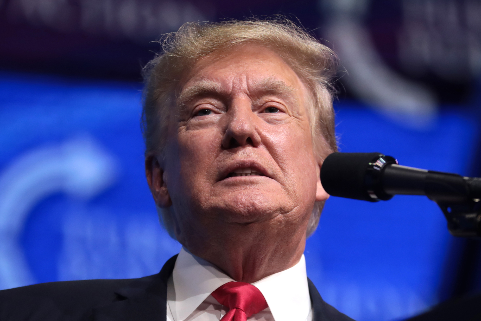 Donald Trump, Arizona Federal Theatre