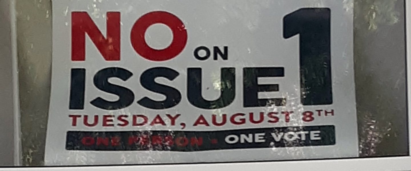 Ohio, Issue 1, Voting