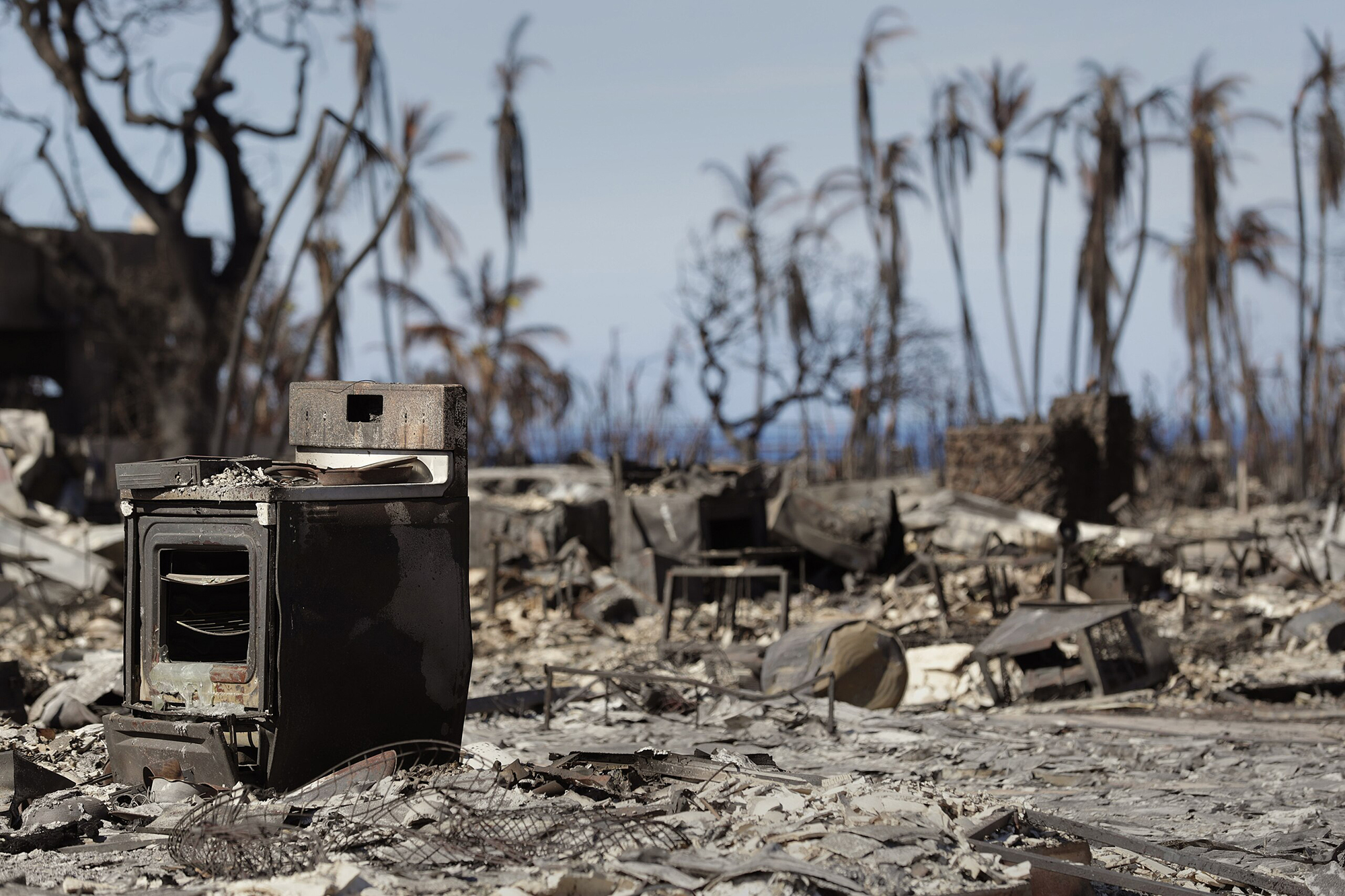 charred landscape, Lahaina, HI