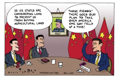 china, land bans