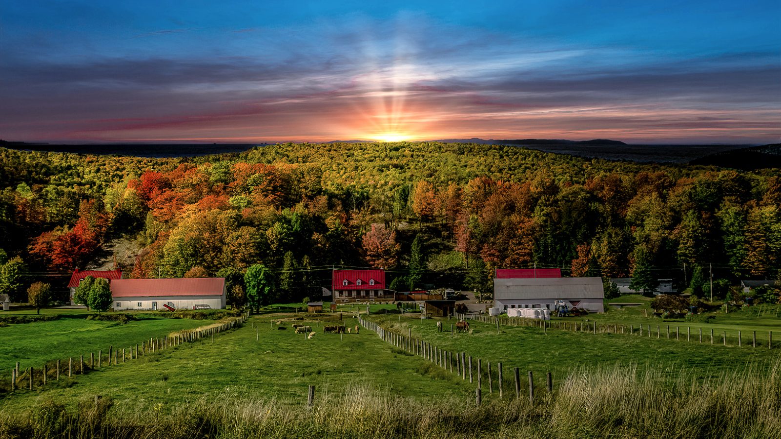 Some Researchers Say the Benefits of Trapping Soil Carbon Are Dubious ...