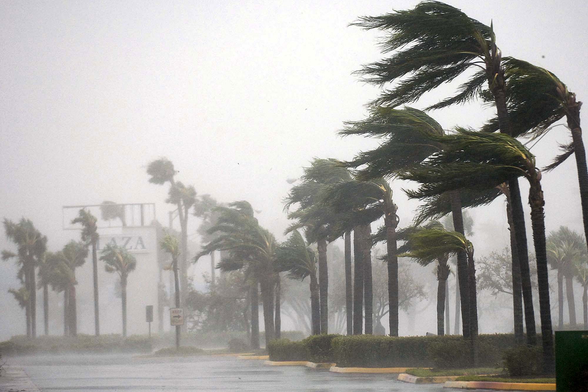 Hardening Our Houses for Typhoon Trump - WhoWhatWhy