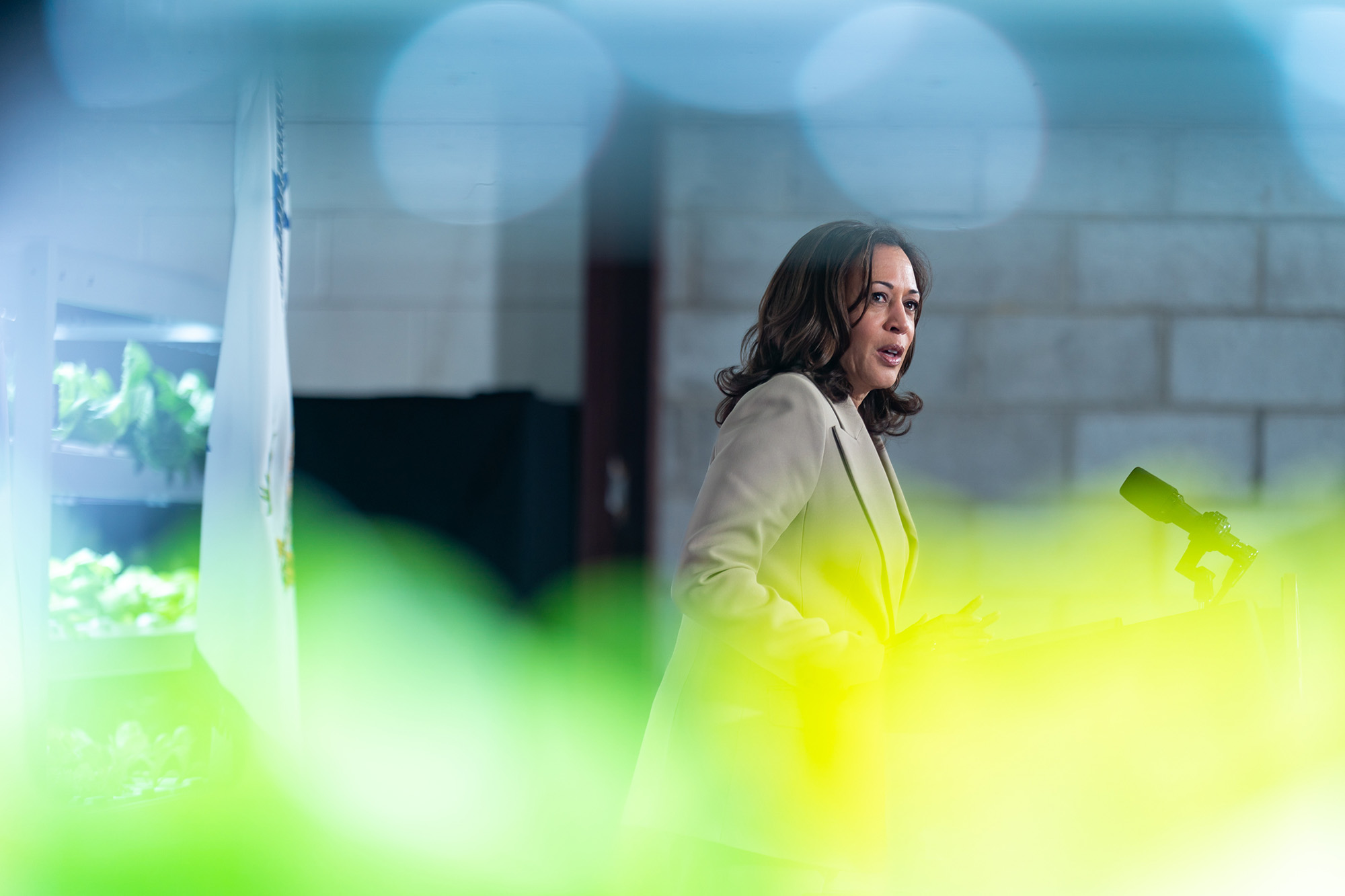Kamala Harris, Babylon Micro-Farms