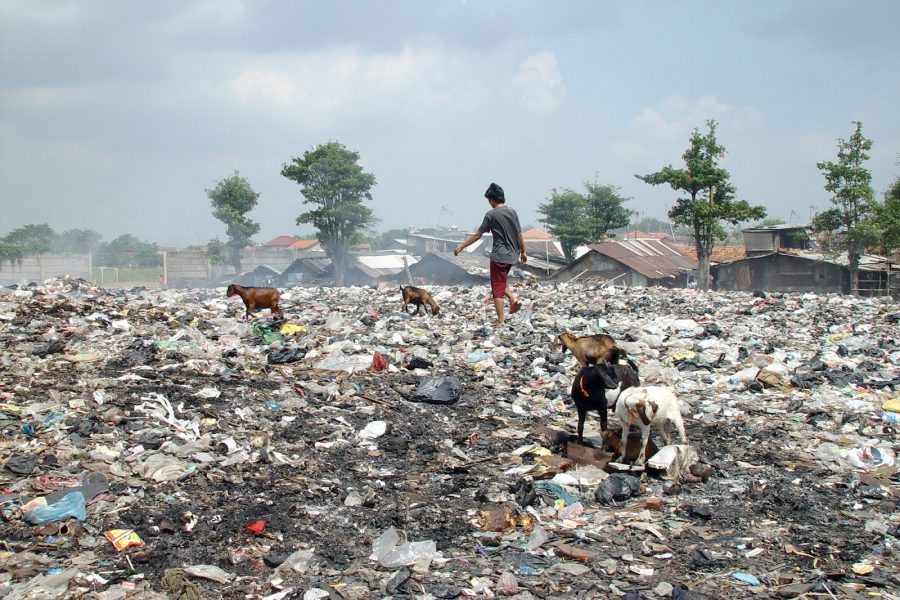 Waste picker, Jakarta