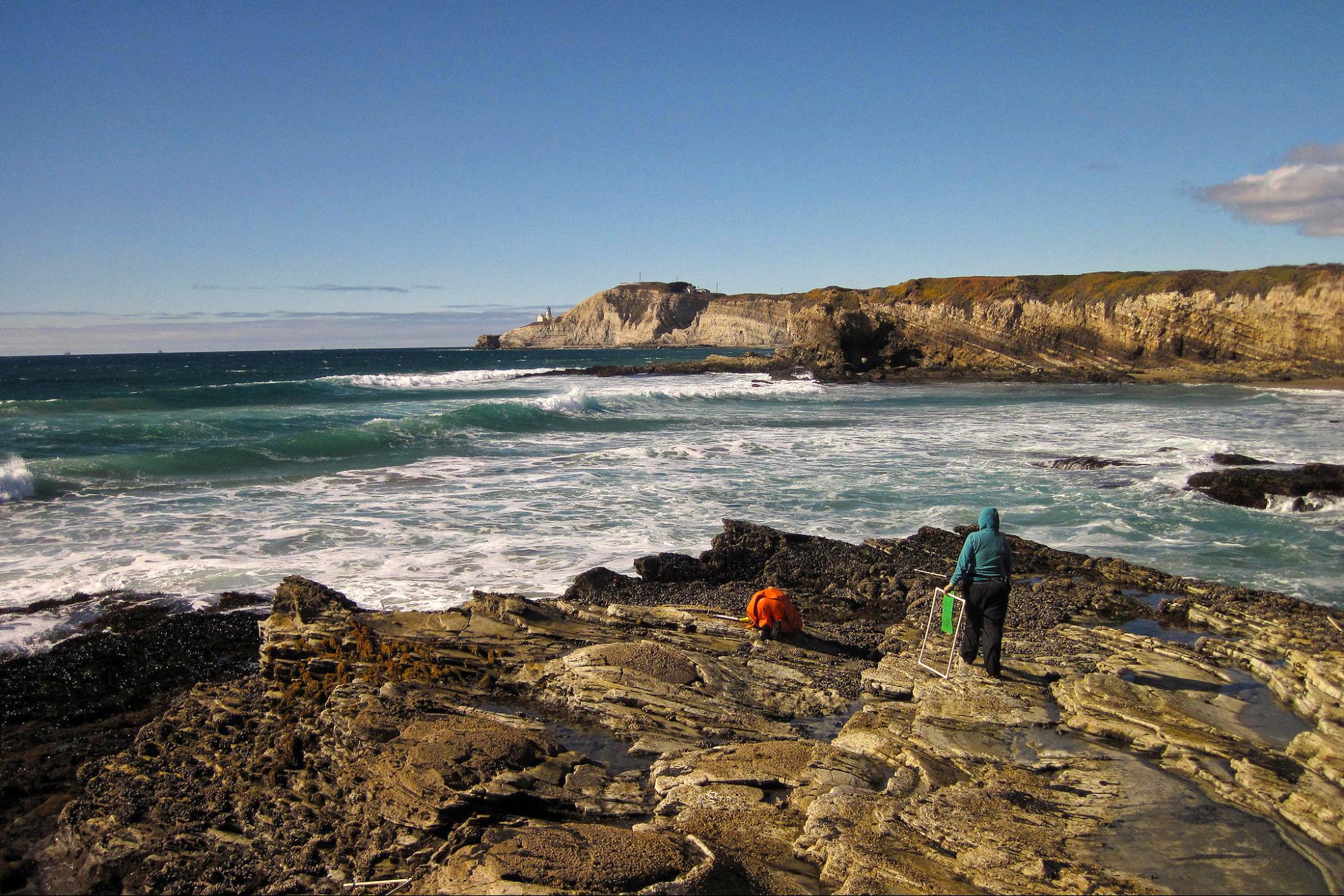 environment, science, nature, marine life, California, sanctuary plan