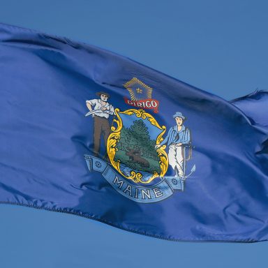 Maine flag